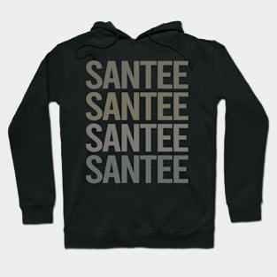 Gray Text Art Santee Hoodie